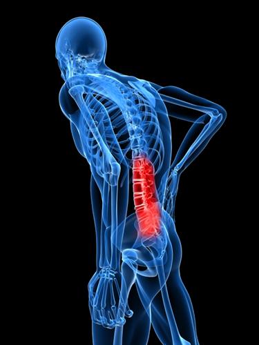 The Lumbar Spine aka the low back - Dallas Wellness Center